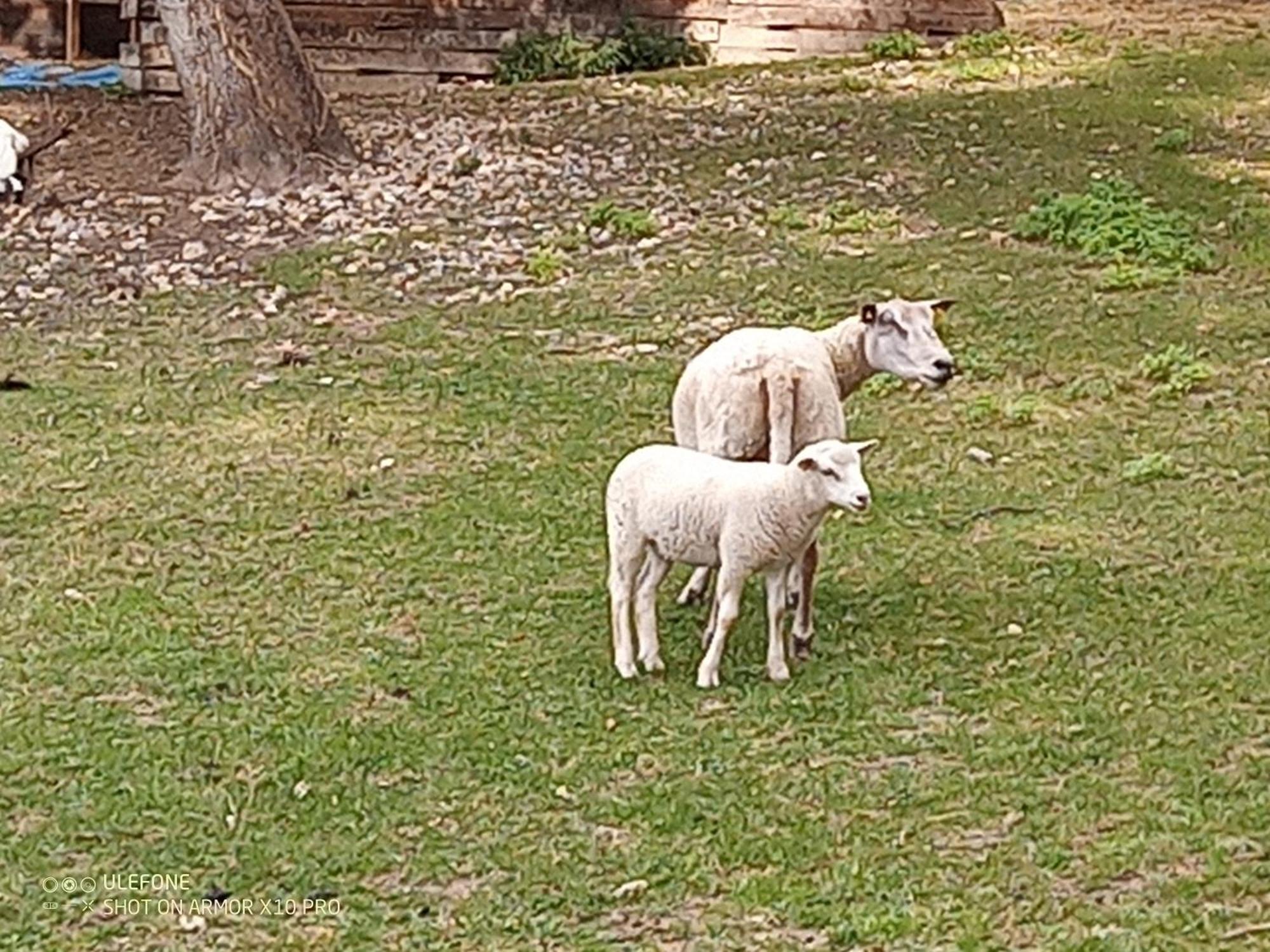 Les Gites De Petrocoriis Boulazac Isle Manoire Buitenkant foto