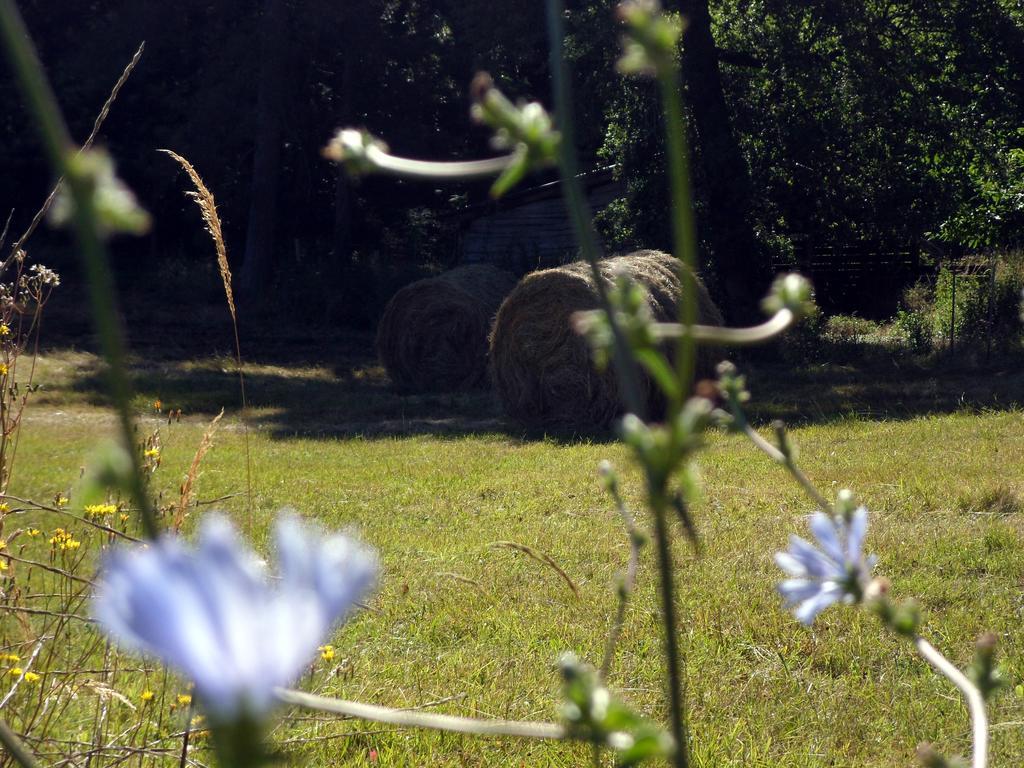 Les Gites De Petrocoriis Boulazac Isle Manoire Buitenkant foto